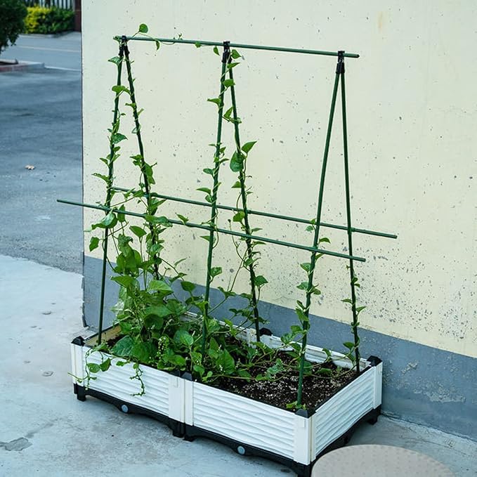 Garden Plant Stakes 24 Inch 2Ft Steel Plant Stick Support, 25 Pack Tomato Stakes for Growing Climbing Plants