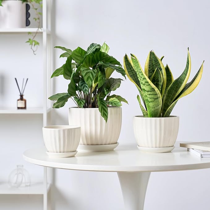 4/5/6 Inches Ceramic Plant Pots with Drainage Holes and Saucers, Round Flower Pots for Indoor Plant, Modern Flower Planters Set of 3 (White-Big Size)