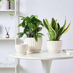 4/5/6 Inches Ceramic Plant Pots with Drainage Holes and Saucers, Round Flower Pots for Indoor Plant, Modern Flower Planters Set of 3 (White-Big Size)