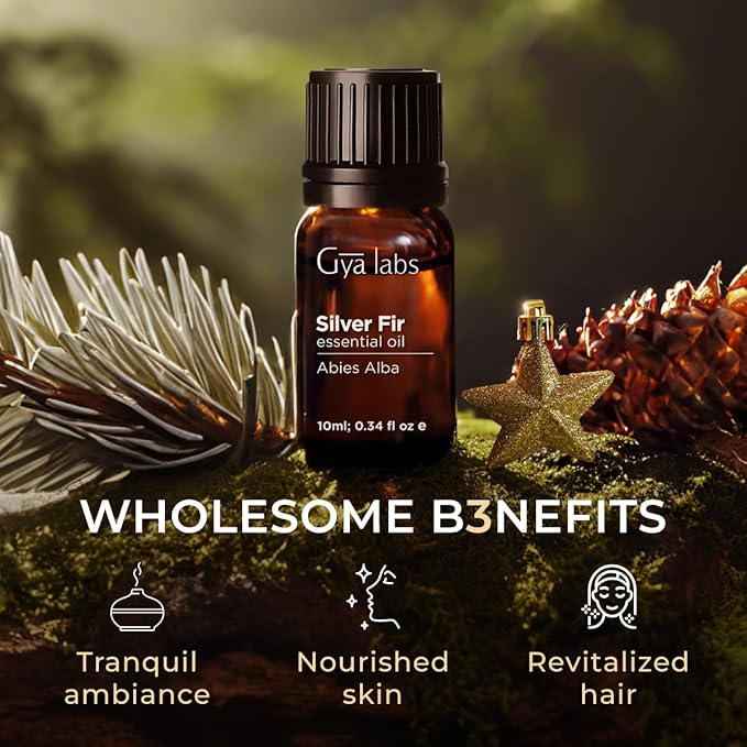 Gya Labs Silver Fir Essential Oil for Diffuser - 0.34 Fl Oz - 100% Pure Natural Silver Fir Oil for Skin, Hair, Aromatherapy & Candle Making Scent