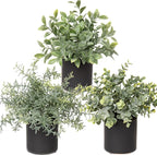 3 Pack Small Fake Plants for Shelf Decor Accents with Ceramic Pot Artificial Potted Plants for Rustic Farmhouse Decor Faux Plants Indoor Fake Potted Plants Artificial for Home Office Bookshelf Decor