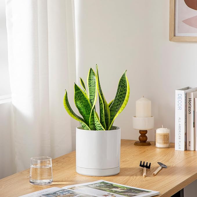 vancasso Ceramic Plant Pots, 6.25 Inch Ceramic Pot for Plants, Planters Pots for Indoor Plants with Drainage Holes, Flower Pot for Indoor House Plant, White