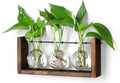 YIBOT Plants Propagation Stations,Plant Terrarium with Wooden Stand Wall Hanging Glass Planter Plant Propagation Vase for Indoor Office Home Garden Decor Plant Lover Gifts for Women