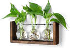 YIBOT Plants Propagation Stations,Plant Terrarium with Wooden Stand Wall Hanging Glass Planter Plant Propagation Vase for Indoor Office Home Garden Decor Plant Lover Gifts for Women
