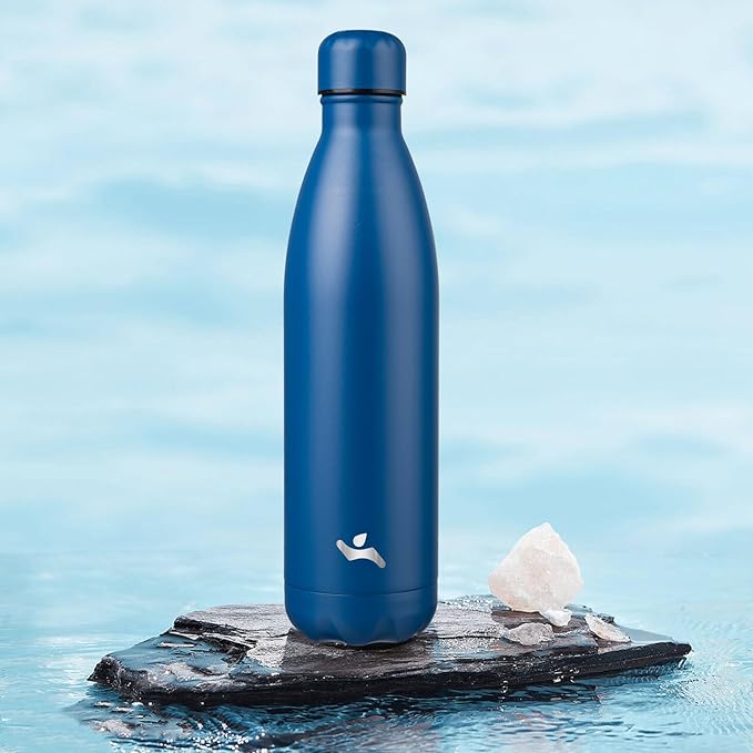 Insulated Water Bottles,25 oz Double Wall Stainless Steel Vacumm Metal Flask for Sports Travel,Blue