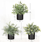 3 Pack Small Fake Plants for Shelf Decor Accents with Plastic Black Pot Artificial Potted Plants for Rustic Farmhouse Decor Faux Plants Indoor Fake Potted Plants Artificial for Home Office Decor