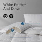 Hotel Grand Softy-Around Feather Down Pillows Standard Size Set of 2 Packs White Strip 100% Cotton Fabric Bed Pillows for All Position Sleepers,26"x20"/2 Packs