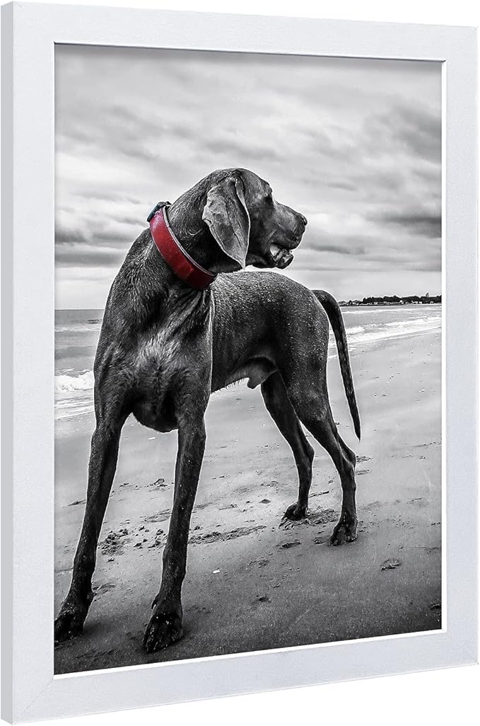 VCK 18x24 Poster Frames 3 Pack White MDF Wood and Polished Plexiglass Frame,Display Pictures in Horizontal and Vertical…