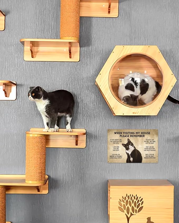 ALKB Funny Tuxedo Cat-Themed Sign 8x12 Inch - Visitor’s Guide to Interacting with Cats - Gift for Cat Lovers’ Home Decor