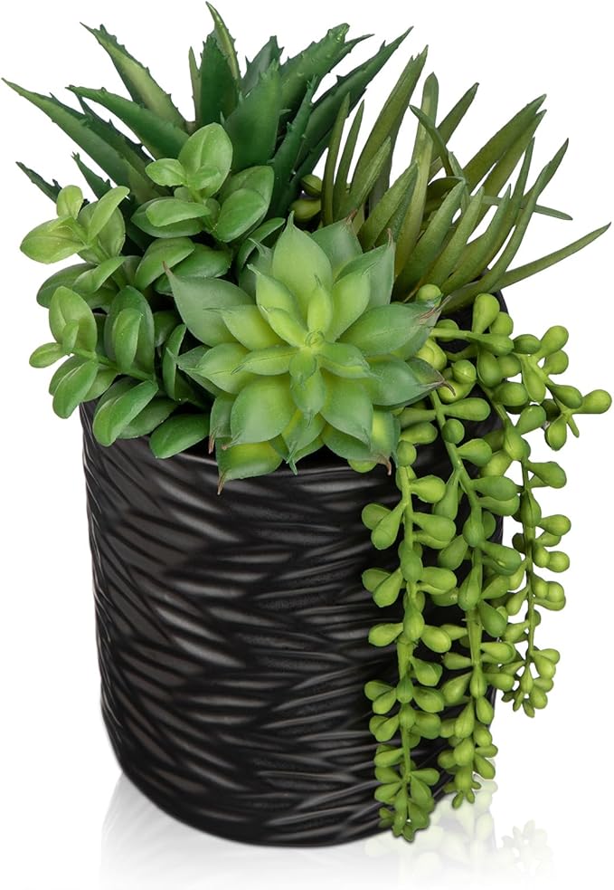 Artificial Succulents in Pots Faux Succulents Plants Fake Succulent Arrangement Potted Plants with Black Ceramic Vase for Office Desk Bathroom Shelf Living Room Indoor Home Decor Large