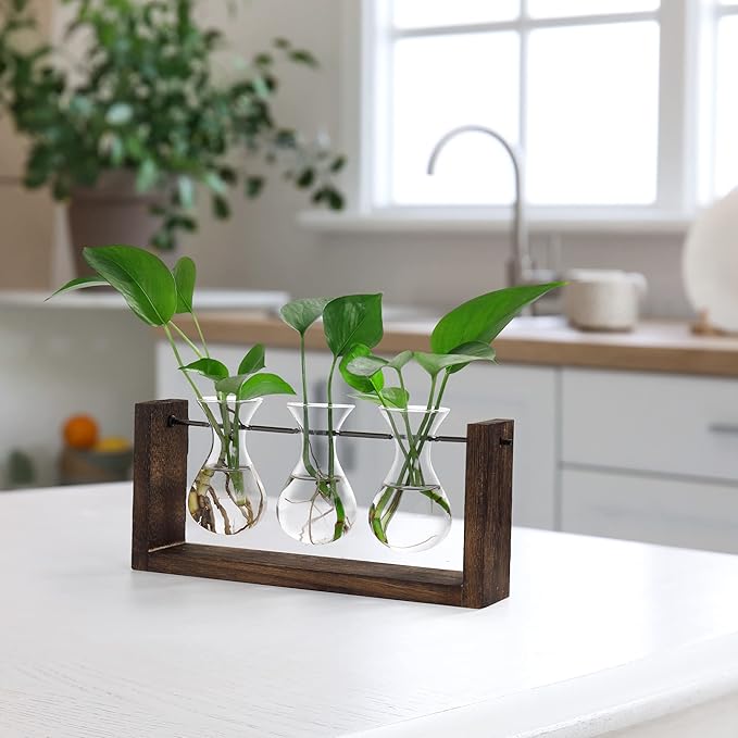 YIBOT Wall Hanging Planter Propagation Station, Plant Terrarium with Wooden Stand, Hydroponics Plants Home Office Living Room Decor Gift-3 Bulb Glass Vases