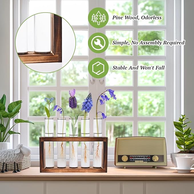 2pcs Desktop Glass Plant Propagation Station with 10 Test Tubes in Wooden Stand - Hydroponic Plants Cutting Office Home Decoration and Garden Decor Terrarium (10 Tubes)