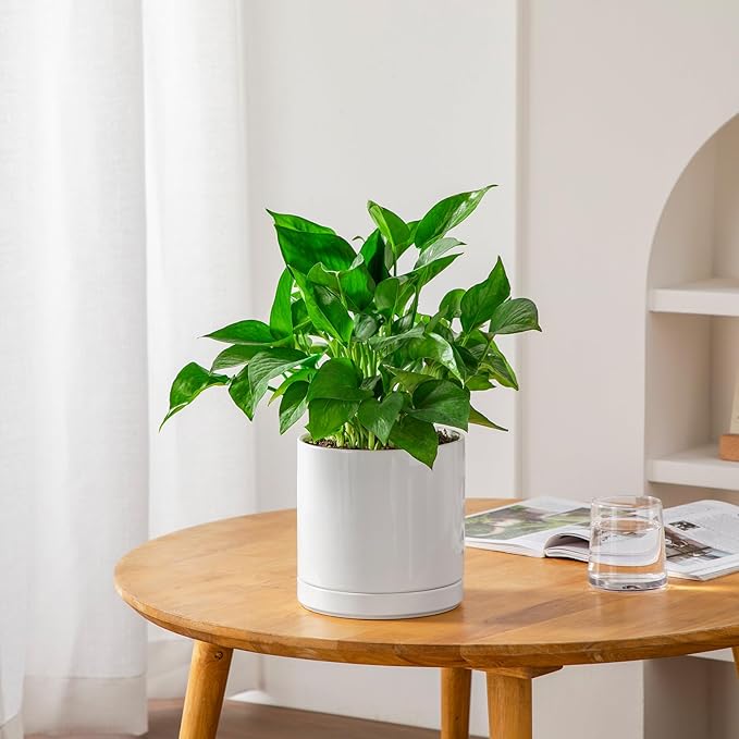 vancasso Ceramic Plant Pots, 6.25 Inch Ceramic Pot for Plants, Planters Pots for Indoor Plants with Drainage Holes, Flower Pot for Indoor House Plant, White