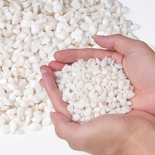 2.5 lbs White Aquarium Gravel, 1/5 Inch White Rocks for Plants, Small Pebbles for Vases, Succulents, Bamboo, Natural Decorative Pebbles for Plants Drainage, Cactus, Crafts