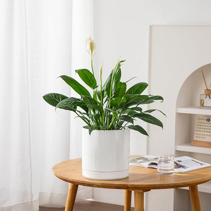 vancasso Ceramic Plant Pots, 8.25 Inch Ceramic Pot for Plants, Planters Pots for Indoor Plants with Drainage Holes, Flower Pot for Indoor House Plant, White