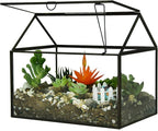 Black 1 Large Glass Plant Terrarium Kit with Lip Greenhouse for Succulents