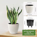 Dexceder 9x8 Inches Rattan Self Watering Planter Indoor Outdoor, Inner Pot Design, Thickened Table Flower Plant Pot with Water Level Indicator (Ivory White)