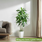 Artificial Dracaena Tree Artificial Silk Tree Faux Tree with White Tall Planter Fake Tropical Yucca Floor Plant (1, White Tall Planter, 6 FT)