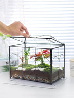 Handmade Glass Planter Terrarium with Lid, Indoor Tabletop Centerpiece Display Box Modern Decor DIY Gift Plant Terrarium Container for Succulent Cacti Air Plants Flower (Black)