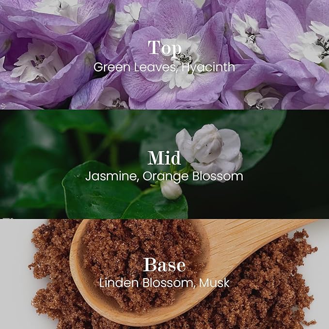 M&SENSE Natural Soy Candle| Bamboo Stream | 8.82 oz, 50H Burn | Minimalist Scented Candle for Relaxation, Gifting, Home Décor | for Bedroom, Office, Party Medium