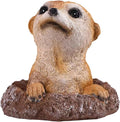 Meerkat Statue - Charming Meerkat Garden Animal Statue: Lifelike Decor Accent for Your Yard or Patio - Add Personality to Your Outdoor Space