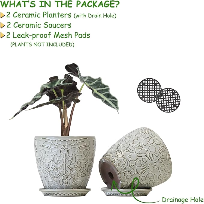 6 Inch Ceramic Planter Pots with Drainage Hole and Saucers for Indoor Plants, Garden Pots for Succulent, Orchid, and Flower - Set of 2