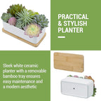 MyGift Assorted Artificial Succulent Plant Arrangement Potted in White Ceramic Planter Pot with Removable Bamboo Tray