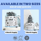 Vital Toothpaste Tabs with Nano-Hydroxyapatite | Naturally Whitens + Remineralizes Teeth | Fluoride & Plastic Free | Combats Sensitivity | Travel & Eco Friendly | Charcoal Mint | 62 Tablets (1 Month)