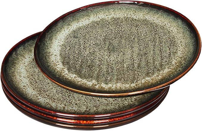 Ceramic Dinner Plates Dish Set,Set of 4,for Lunch snacks -Microwave Oven & Dishwasher Safe,Scratch Resistant,Dinnerware Kitchen Porcelain Serving Dishes 10 Inch Round