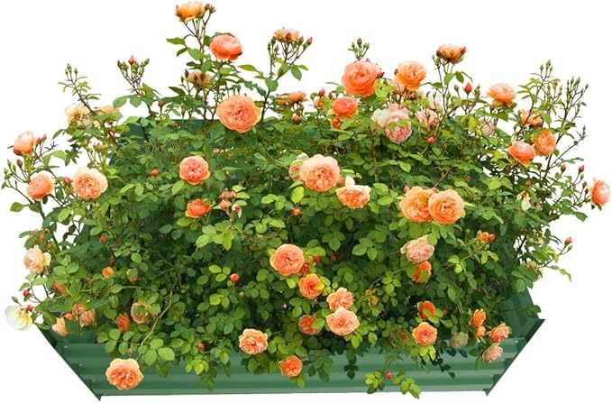 4x4x1ft Metal Raised Garden Bed Kit，Galvanized Garden Bed Box for Vegetables, Flowers, Herbs, and Succulents,120 Gallon Capacity - Green