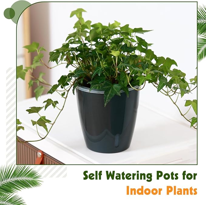Self Watering Pots for Indoor Plants, 6-Pack 5'' Self Watering Planter with Drainage Holes, Small African Violet Pots with Water Indicator, Clear Wick Orchid Pot, Black