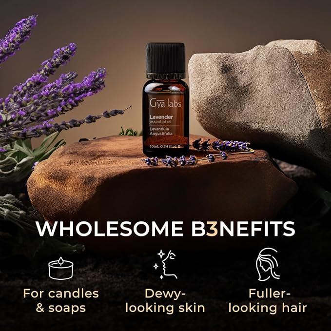Gya Labs Lavender Essential Oil for Diffuser - 0.34 Fl Oz - 100% Pure Natural Lavender Oil for Skin, Hair, Massage, Aromatherapy & Candle Making Scent