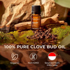 Clove Essential Oil for Teeth & Gums - 100% Pure Natural Clove Bud Oil