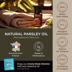 Gya Labs Parsley Essential Oil for Skin - 0.34 Fl Oz - 100% Pure Natural Parsley Oil for Diffuser, Hair & Candle Making Scent