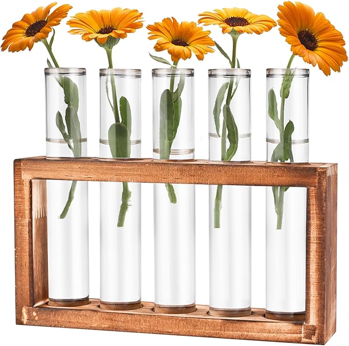 Desktop Glass Plant Propagation Station with 5 Test Tubes in Wooden Stand - Hydroponic Plants Cutting Office Home Decoration and Garden Decor Terrarium (5 Tubes)