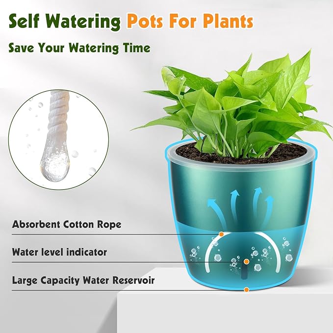 Self Watering Pots for Indoor Plants, 12-Pack 5'' Self Watering Planter with Drainage Holes, Small African Violet Pots with Water Indicator, Clear Wick Pot, White/Black/Blue/Rose Gold