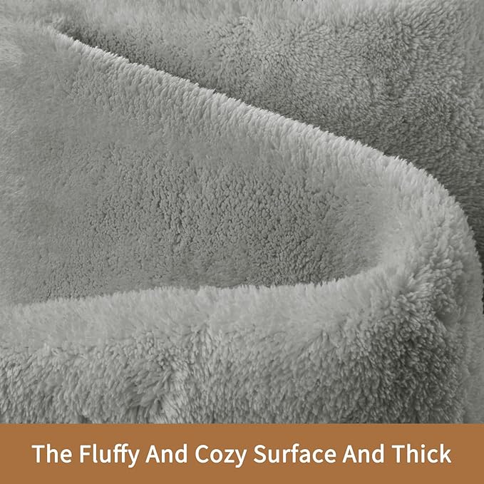 Sour Lemon 6x9 Area Rugs for Living Room, Soft Large Area Rug Fluffy Rugs for Bedroom，Machine Washable Area Rug Non Slip Carpet Rug for Living Room Playroom Kids Room Home Decor