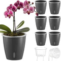 Self Watering Pots for Indoor Plants, 6-Pack 5'' Self Watering Planter with Drainage Holes, Small African Violet Pots with Water Indicator, Clear Wick Orchid Pot, Grey Gold