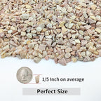 10LB Succulent and Cactus Gravel Pebbles, 1/5 Inch Natural Decorative Polished Stones, River Rocks for Plants, Vases, Aquariums, Terrarium and Outdoor Gardening,Peach