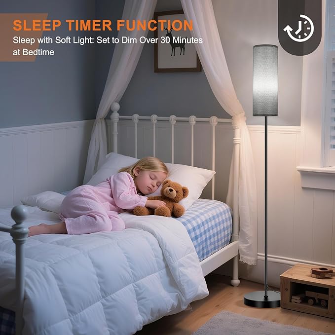 FRIDEKO HOME Gray Floor Lamps for Bedroom, Dimmable Colors Temperature & Brightness, Plug in Modern Floor Lamps for Living Room, Tall Standing Lamps for Office, Corner Lamp, 9W RGB LED Bulb