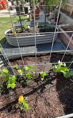 2 Pack 8x4x1FT Galvanized Raised Garden Bed Kit Oval Metal Ground Planter Box Outdoor Bottomless Planter Raised Beds for Vegetables Flowers Herbs Fruits, Gray