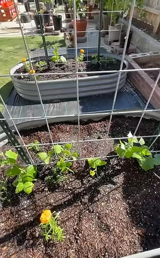 2 Pack 8x4x1FT Galvanized Raised Garden Bed Kit Oval Metal Ground Planter Box Outdoor Bottomless Planter Raised Beds for Vegetables Flowers Herbs Fruits, Gray