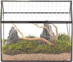 NCYP House Shape Glass Terrarium with Acrylic Lid - 10.2x5.9x8.2 Inches Large Geometric Box for Snails, Ferns, Succulents, Air Plants, Indoor Tabletop Decor, Handmade (Terrarium Only)