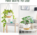 ZMTECH 8 Inch Hanging Planters for Indoor Plants, Hanging Baskets for Plants Outdoor with Visible Water Level, Hanging Flower Pots with Drainage Holes & Removable Tray(2 Pack, White)