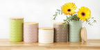 DII Kitchen Accessories Collection, Textured Matte Ceramic Canister Set, Avocado, Vine, 3 Piece