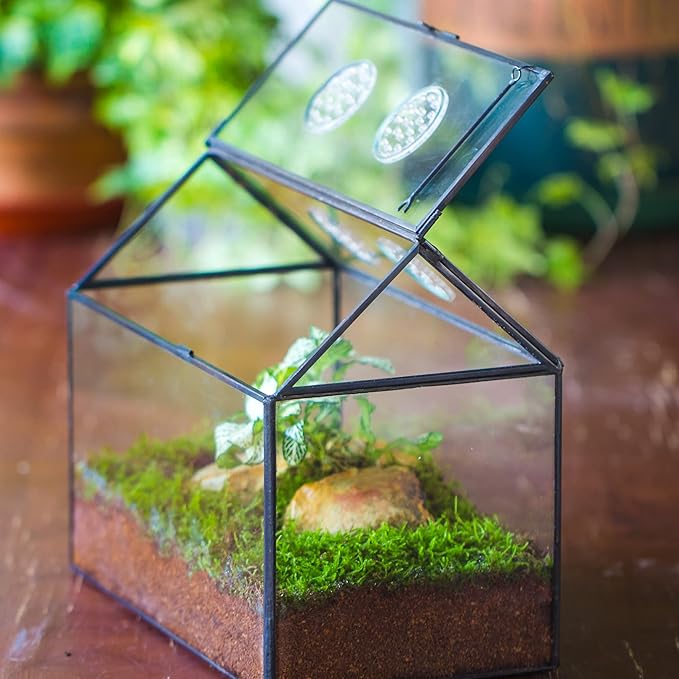 NCYP Glass Terrarium with Lid and Air Holes for Snails, Succulents Plants, Small Cactus - 10.2" x 5.9" x 8.2" House Shape Geometric Clear Box, Indoor Tabletop Decor Black (Terrarium Only)