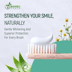 Natural Fluoride Free Toothpaste - Nano Hydroxyapatite, Remineralizing, Sensitive Teeth, Whitening & Zero Waste Tube - Dentist Recommended for Adult & Kids Oral Aloe Vera & Chamomile (Single, Aloe)