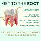 Oral Care Set | Natural Toothpaste, Oil Pull & Mouthwash | Radiant Smile | Fluoride-Free & Clean Ingredients | Mineral Complex | Natural Enamel Care | Botanical Plant Based
