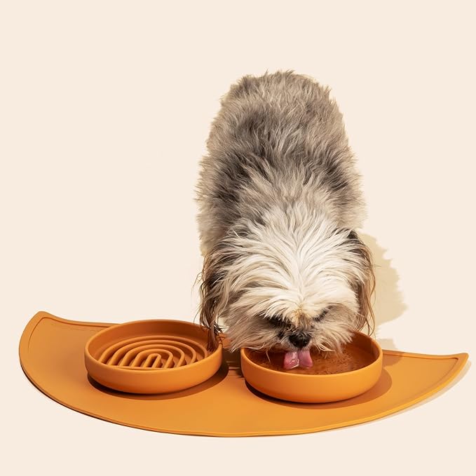 The Slowdown Bowl Silicone Slow Feeder for Cats & Dogs, Slow Eating Mealtime Solution with Modern Lick Mat Design, Reduces Gulping, Fits 1 Cup 6” Across x 1.25” Tall, Small-Sage