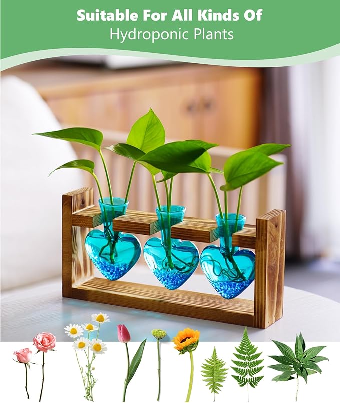 Nacome Plant Terrarium for Office Decor: Birthday Gifts for Plant Lovers Women Mom Wife - Wooden Stand Tabletop Planter 3 Bulb Glass Vase Heart Shaped for Hydroponics Indoor Home
